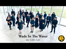 Load and play video in Gallery viewer, Wade In the Water