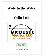 Load image into Gallery viewer, Wade In the Water